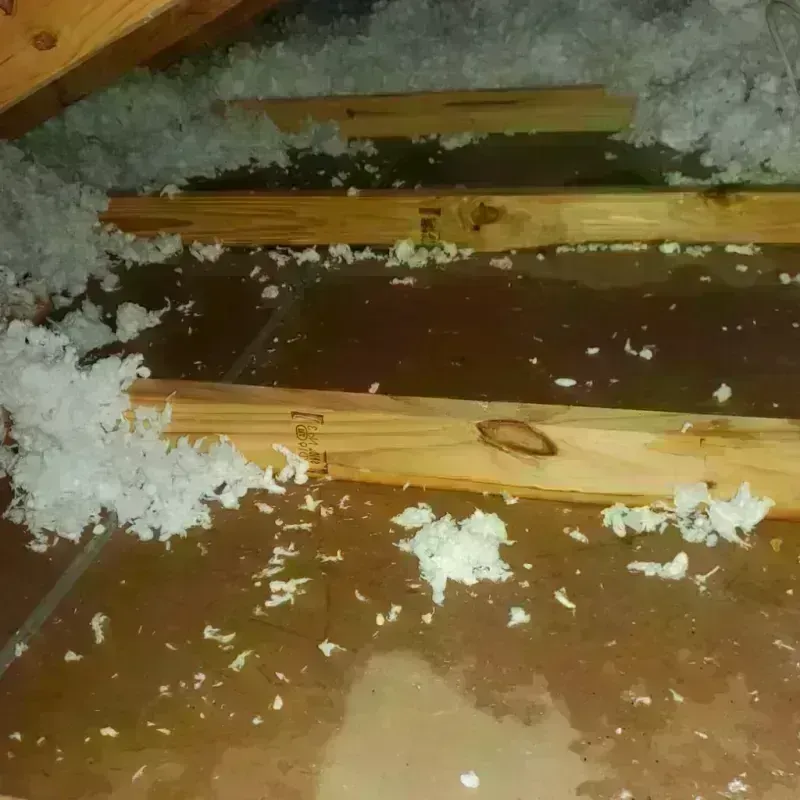 Attic Water Damage in Campton, KY